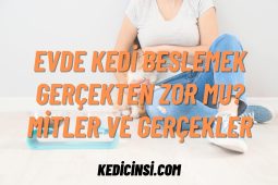Evde Kedi Beslemek Gerçekten Zor mu? Mitler ve Gerçekler Evde Kedi Beslemek Gerçekten Zor mu? Mitler ve Gerçekler